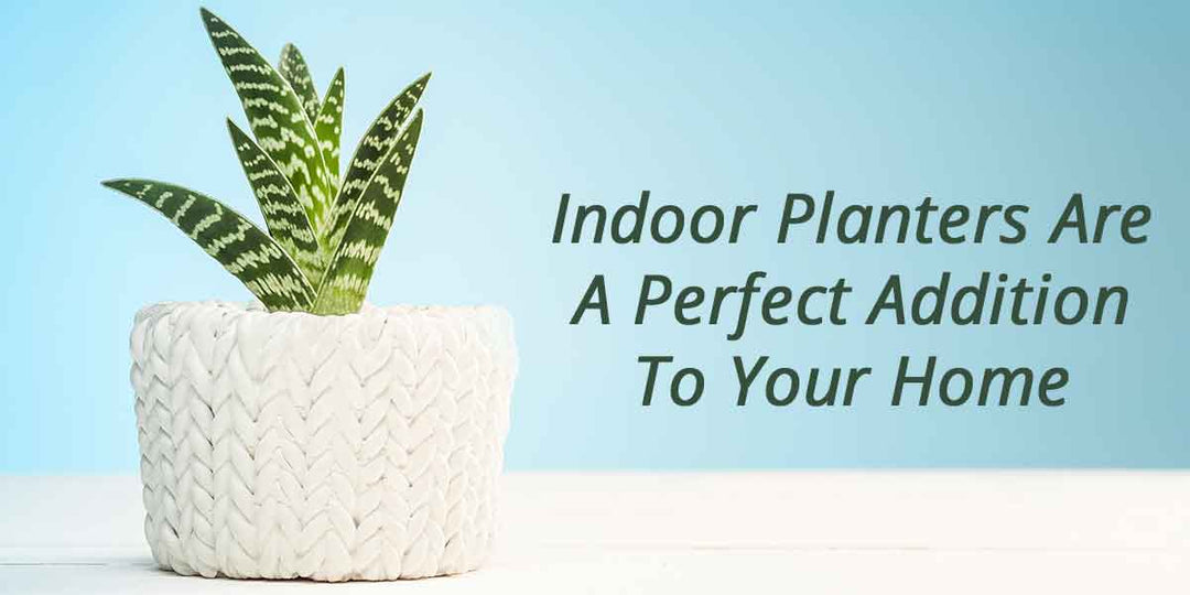 indoor planters