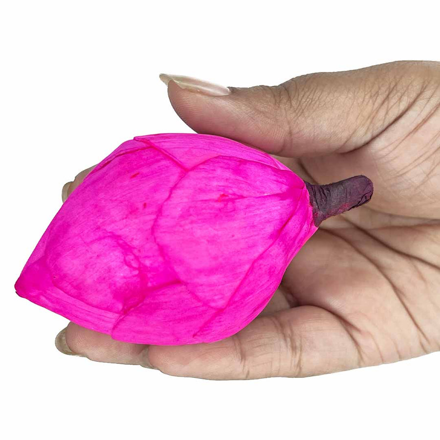 Pink Lotus Flower Bud Set of 6 | Pink Lotus Flower | Flower Bud | Adikala Craft | Art Craft | Ganpati Ji Set Of 6 | Ganpati | Ganesha | Decoration | Art Craft | Adikala Craft Store | women | jewellry | decor | home decoration | pichwai | welcome | padharosa | ramramsa | doorwell | premarked mdf | design | crochet | beads | art | craft | indianart | rajhasthan | desh | men | swagat | shadi | wedding