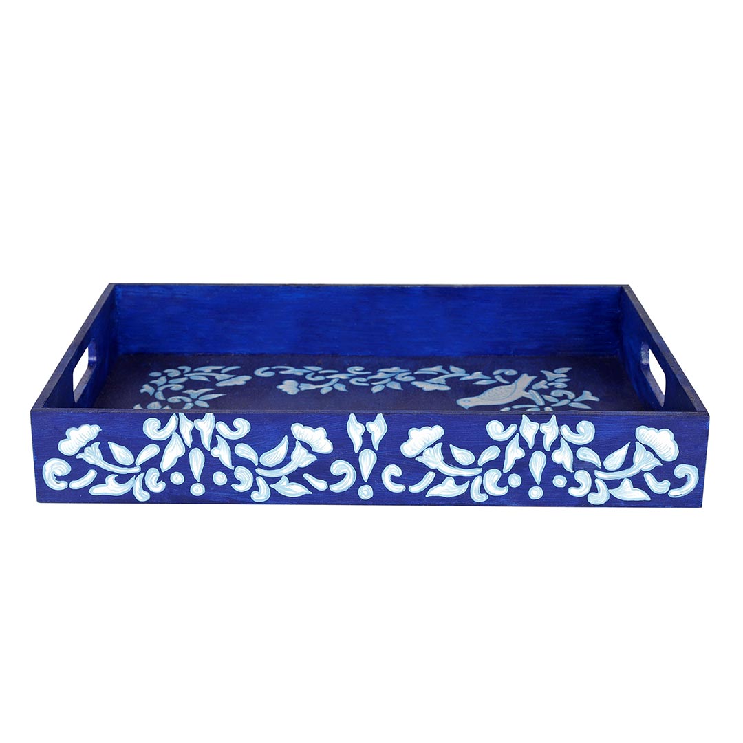 Best Blue Tray